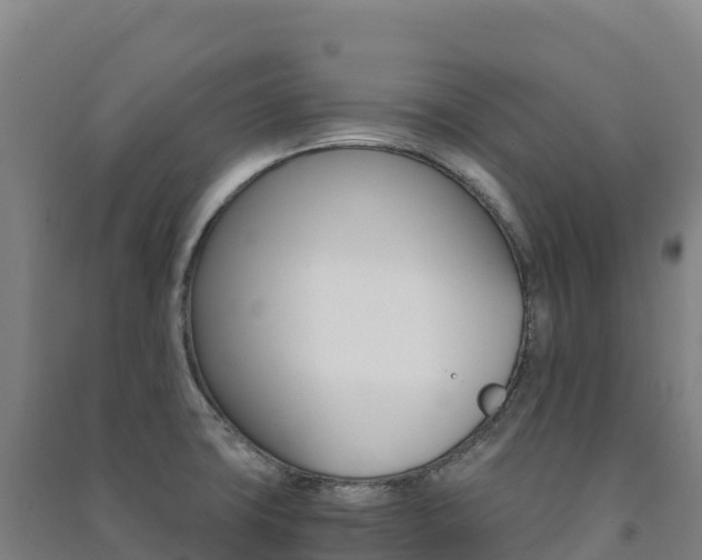 X0000091481427200708161139