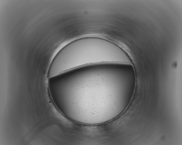 X0000091481428200708161139