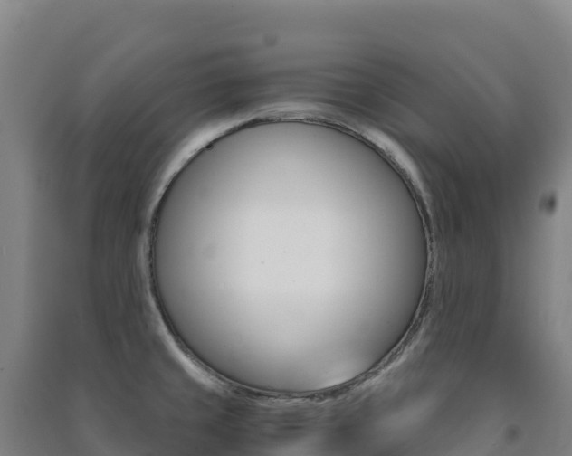 X0000091481429200708161139