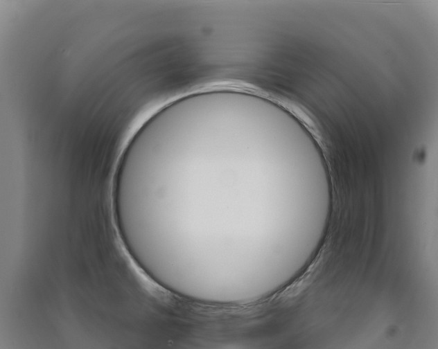 X0000091481430200708161139