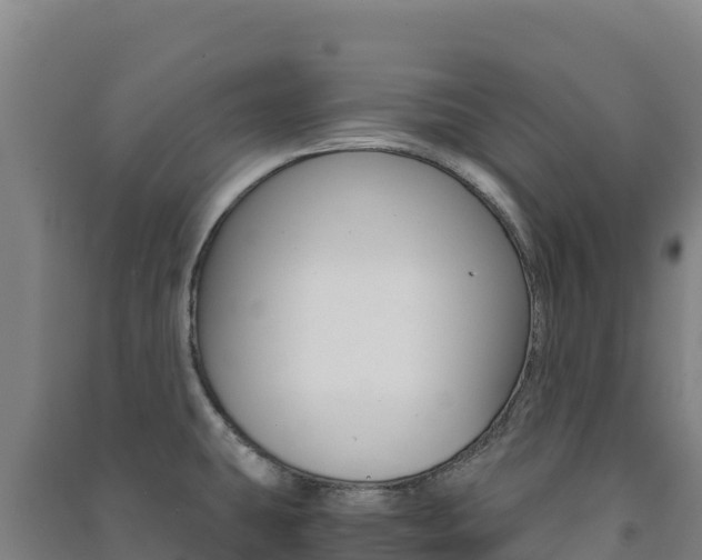X0000091481431200708161139