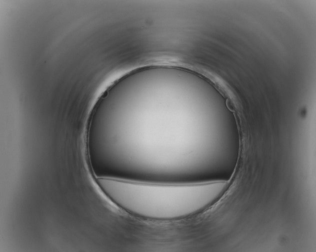 X0000091481432200708161139