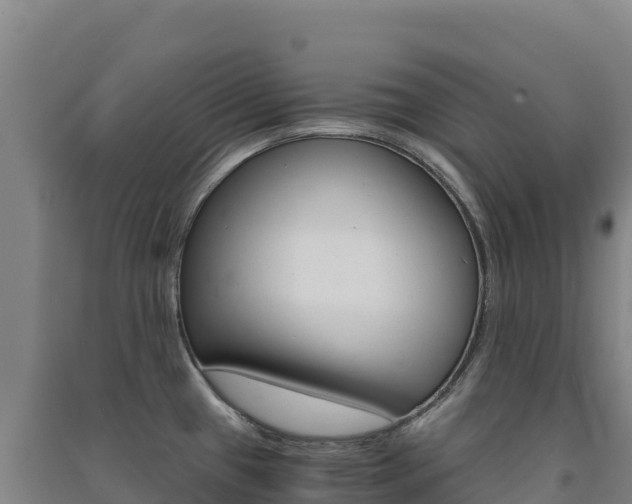 X0000091481433200708161139