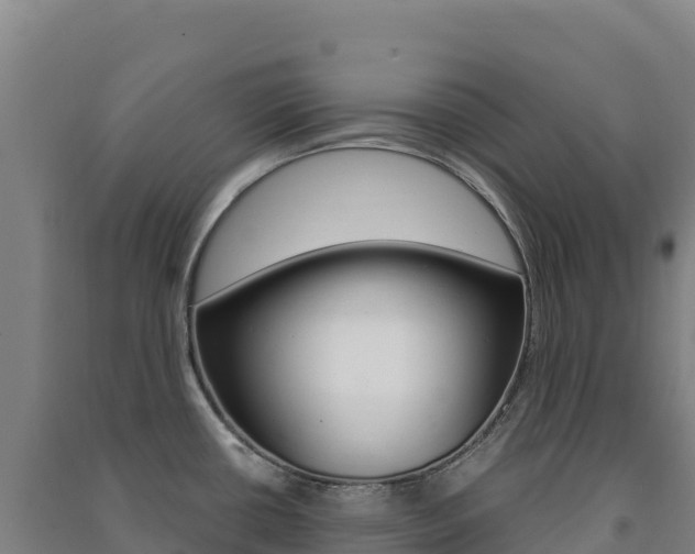 X0000091481434200708161139