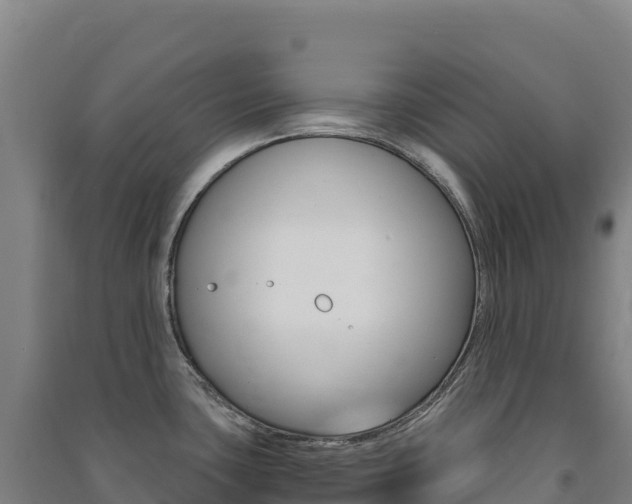 X0000091481435200708161139