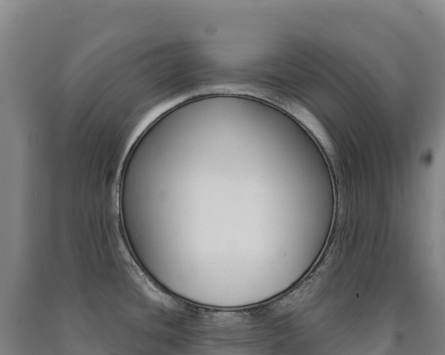 X0000091481436200708161139