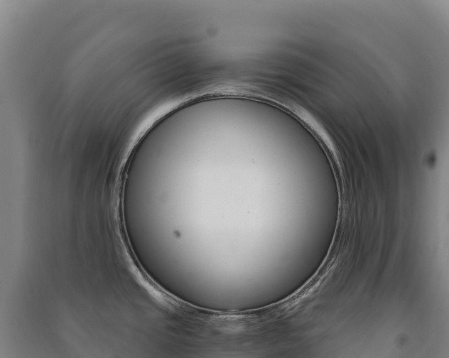 X0000091481437200708161139
