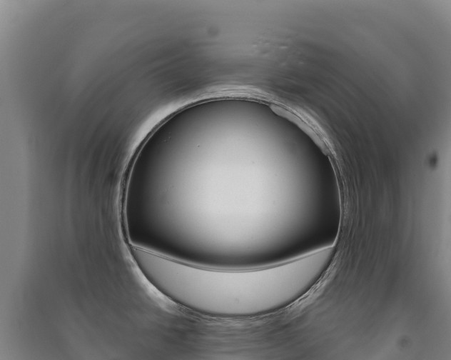 X0000091481438200708161139