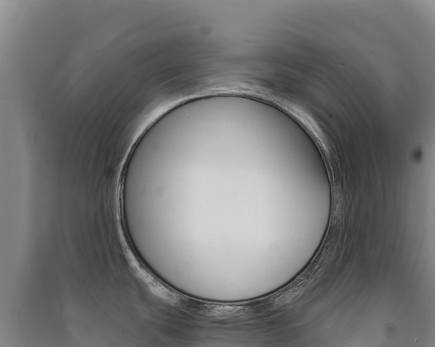 X0000091481439200708161139