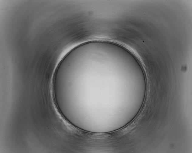 X0000091481440200708161139
