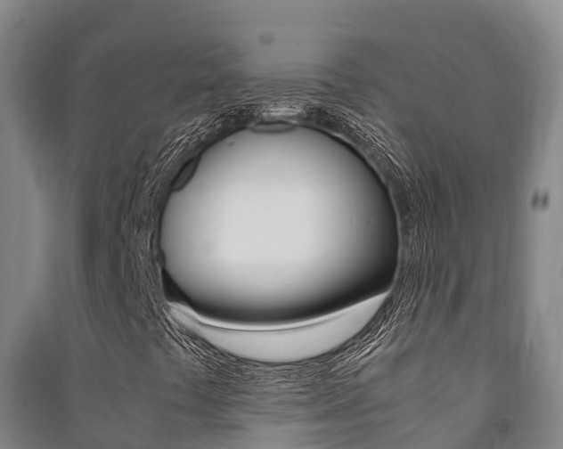 X0000091481441200708161138
