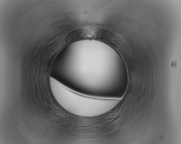 X0000091481442200708161138