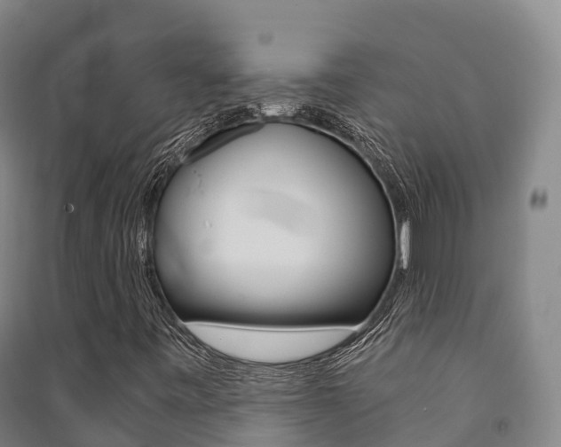 X0000091481443200708161138