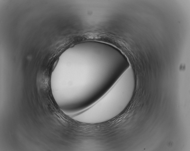 X0000091481444200708161138