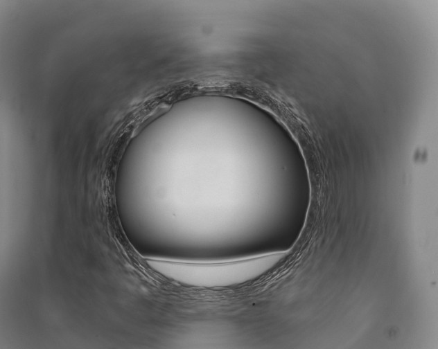 X0000091481445200708161138