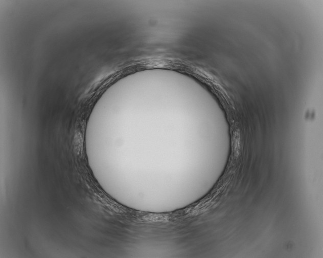 X0000091481446200708161138