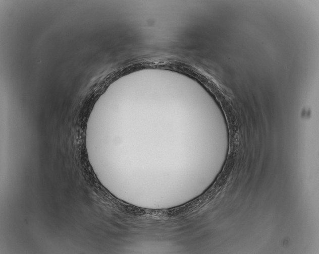 X0000091481447200708161138