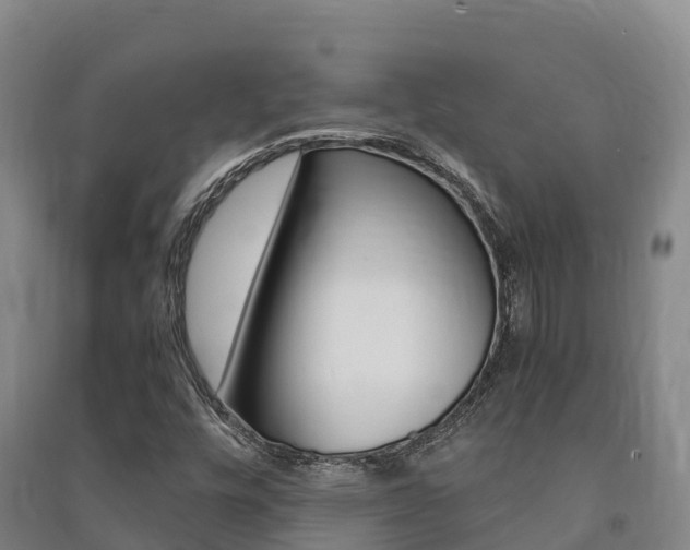 X0000091481448200708161138