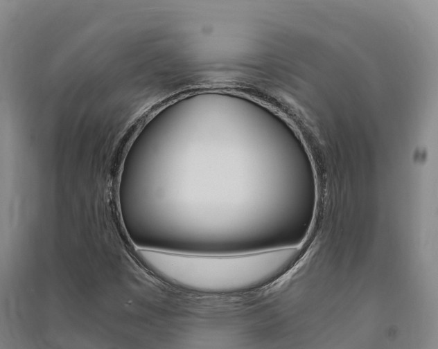 X0000091481449200708161138