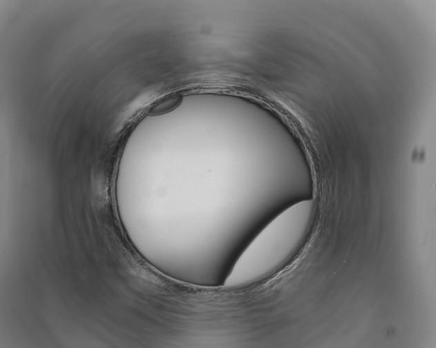 X0000091481451200708161138