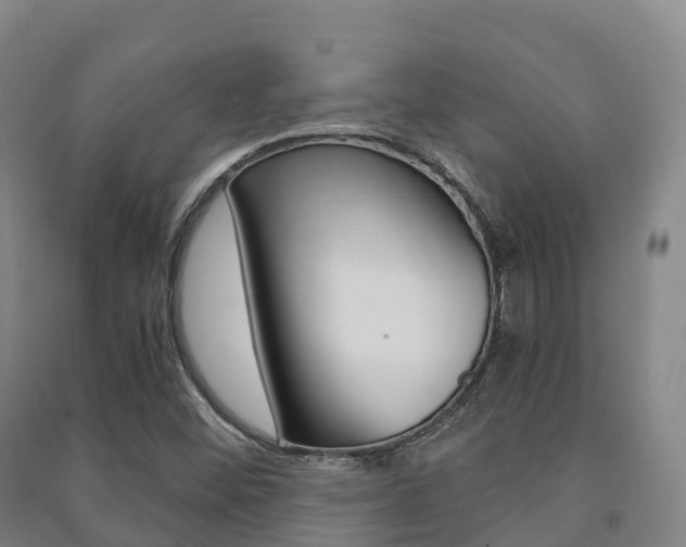 X0000091481452200708161138