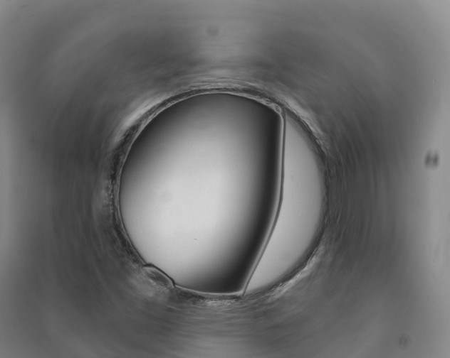 X0000091481453200708161138