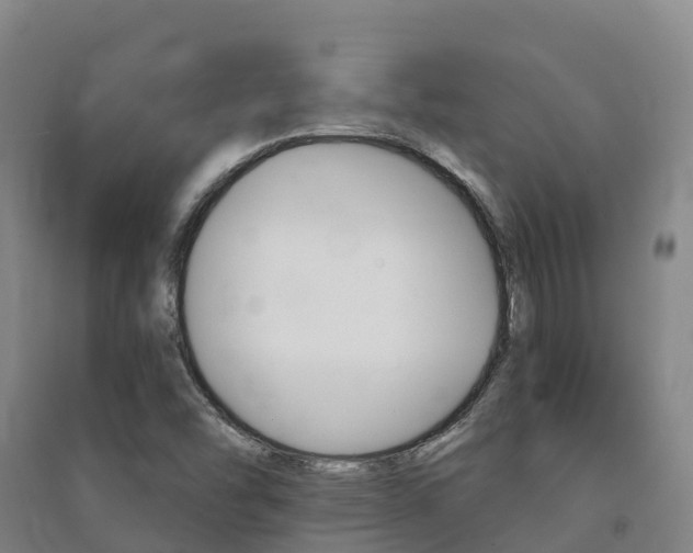 X0000091481454200708161138