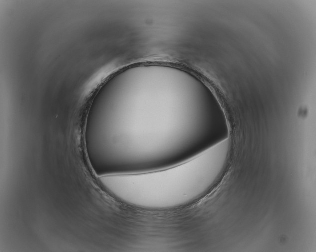 X0000091481455200708161138