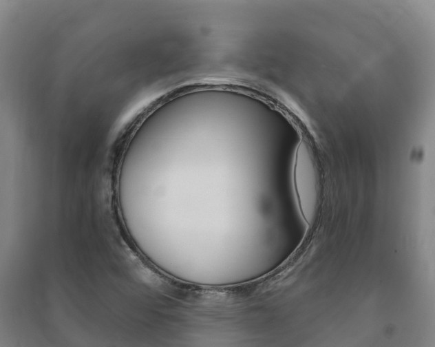 X0000091481456200708161138