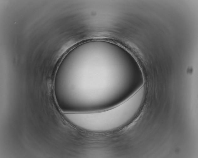 X0000091481457200708161138