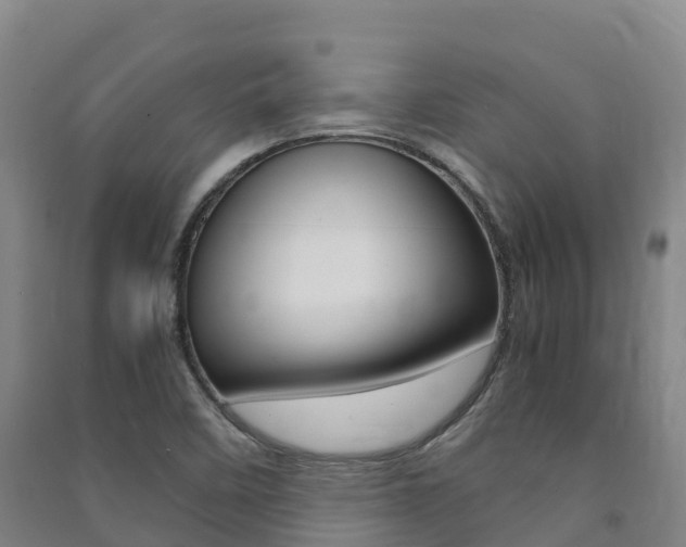 X0000091481458200708161138