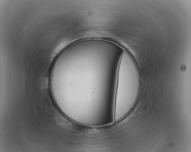 X0000091481459200708161138