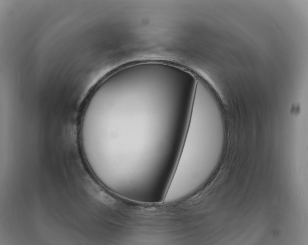 X0000091481460200708161138