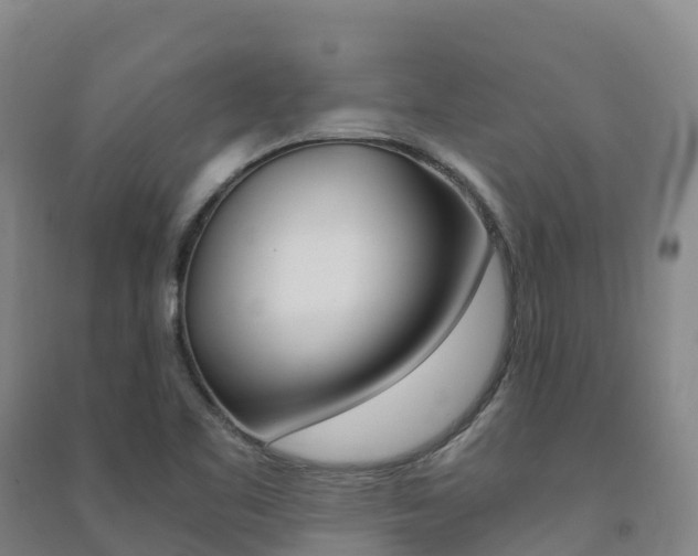 X0000091481461200708161138