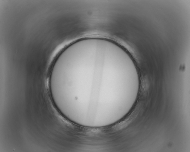 X0000091481462200708161138