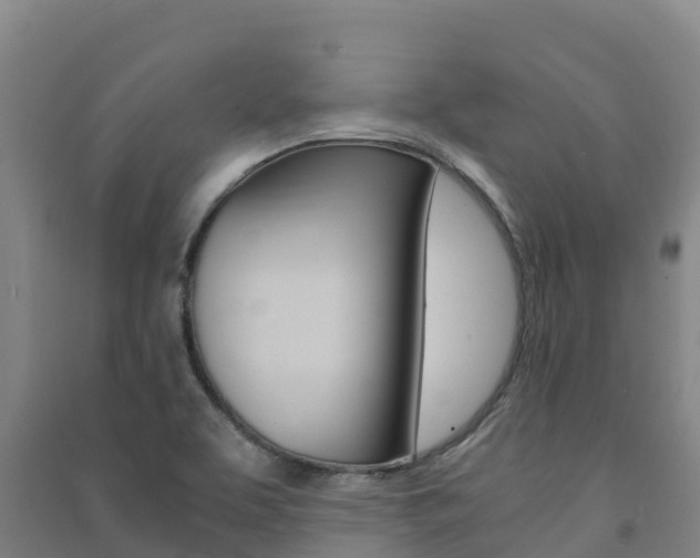 X0000091481463200708161138