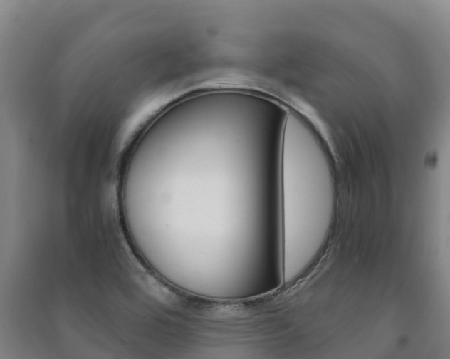X0000091481464200708161138