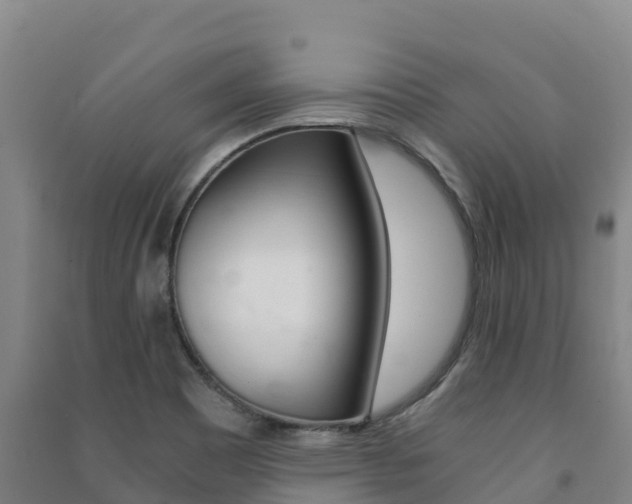X0000091481465200708161138
