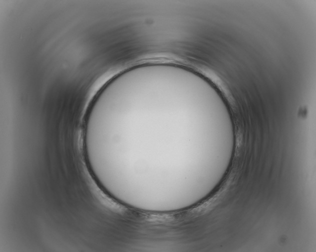 X0000091481466200708161138