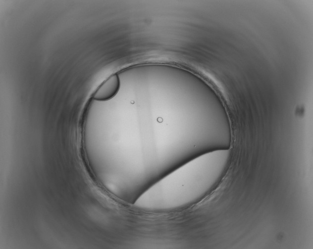 X0000091481467200708161138