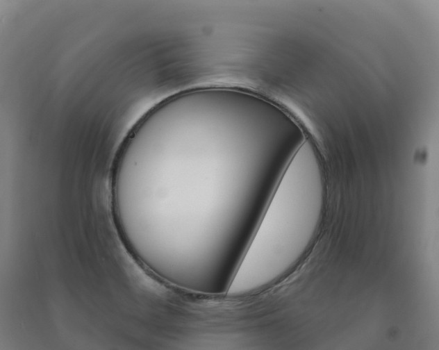 X0000091481468200708161138