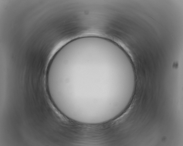 X0000091481469200708161138