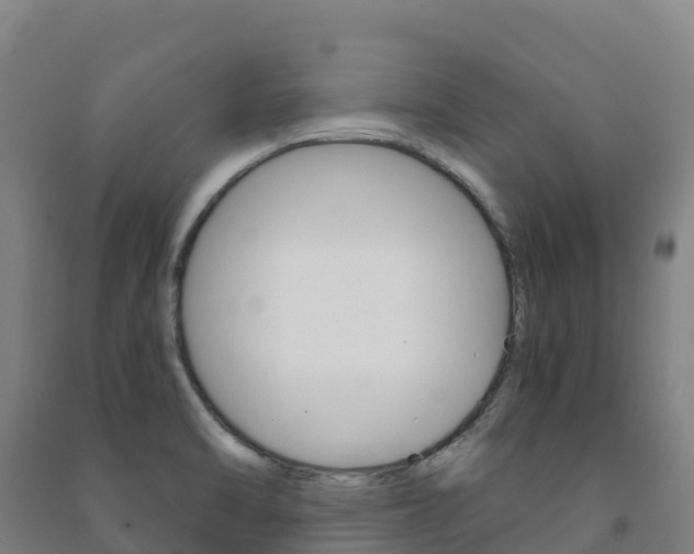 X0000091481470200708161138