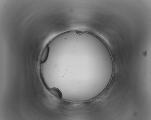 X0000091481471200708161138
