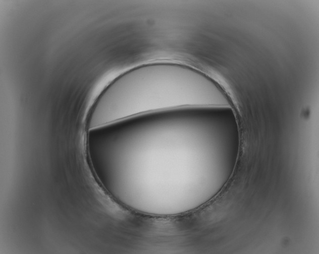X0000091481472200708161138