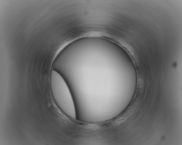 X0000091481473200708161138
