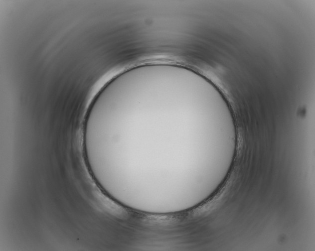 X0000091481474200708161138