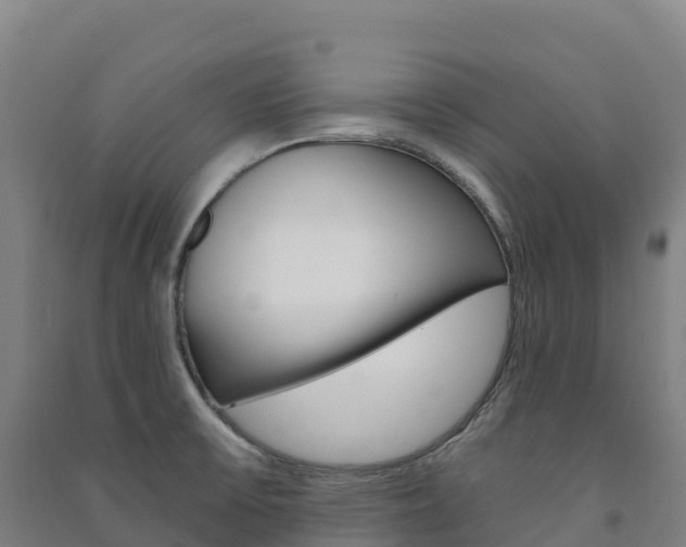 X0000091481475200708161138