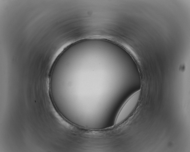 X0000091481476200708161138