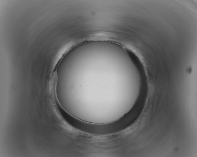 X0000091481477200708161138